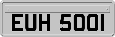 EUH5001