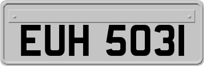 EUH5031