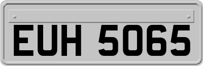 EUH5065