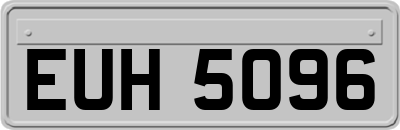 EUH5096