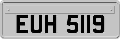 EUH5119