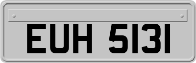 EUH5131