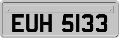 EUH5133