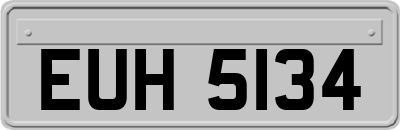 EUH5134
