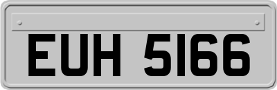 EUH5166