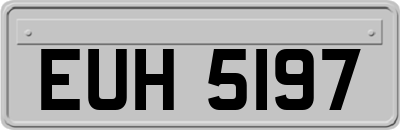EUH5197