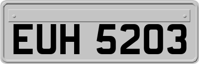 EUH5203