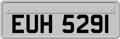 EUH5291