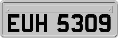 EUH5309