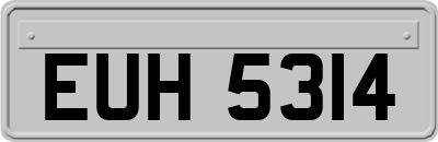 EUH5314
