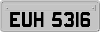EUH5316
