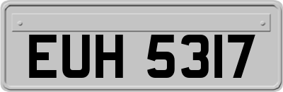 EUH5317