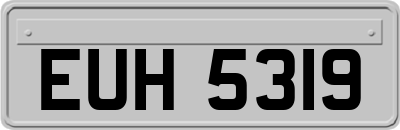 EUH5319