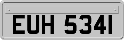 EUH5341