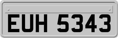 EUH5343