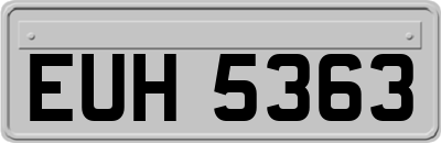 EUH5363