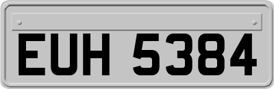 EUH5384