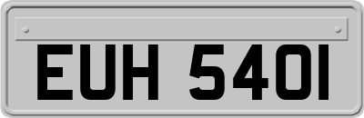 EUH5401