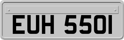 EUH5501