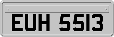 EUH5513