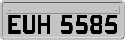 EUH5585