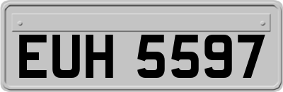 EUH5597