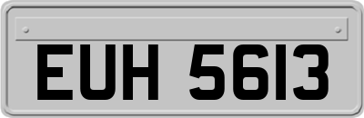 EUH5613