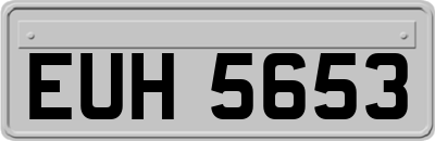 EUH5653