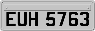 EUH5763
