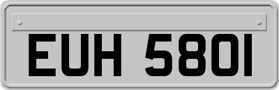 EUH5801