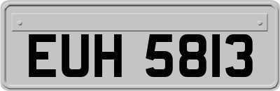 EUH5813