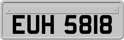 EUH5818