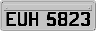 EUH5823