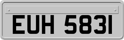EUH5831