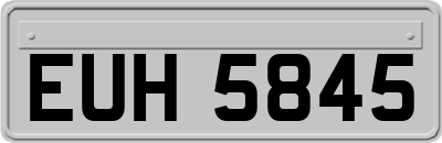 EUH5845