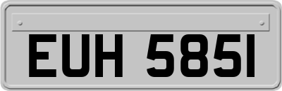 EUH5851