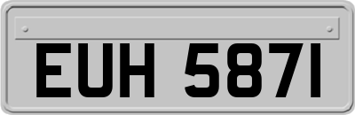 EUH5871