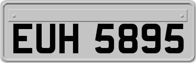EUH5895