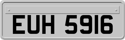 EUH5916
