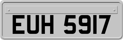 EUH5917