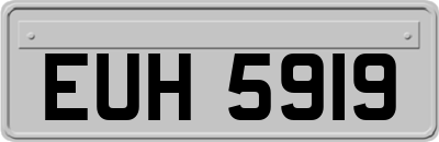 EUH5919