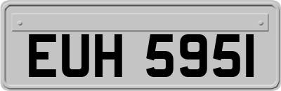 EUH5951