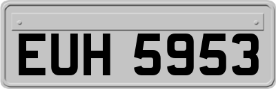 EUH5953