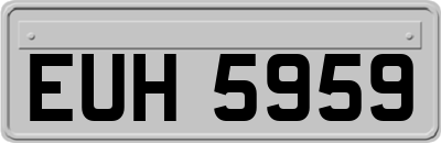 EUH5959