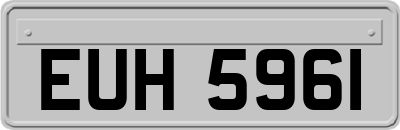 EUH5961