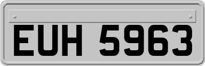 EUH5963