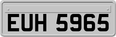 EUH5965