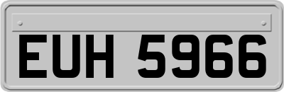 EUH5966