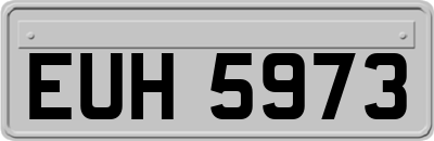 EUH5973