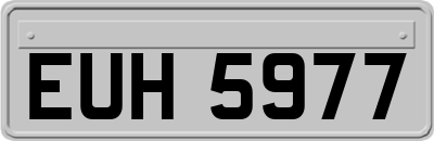 EUH5977